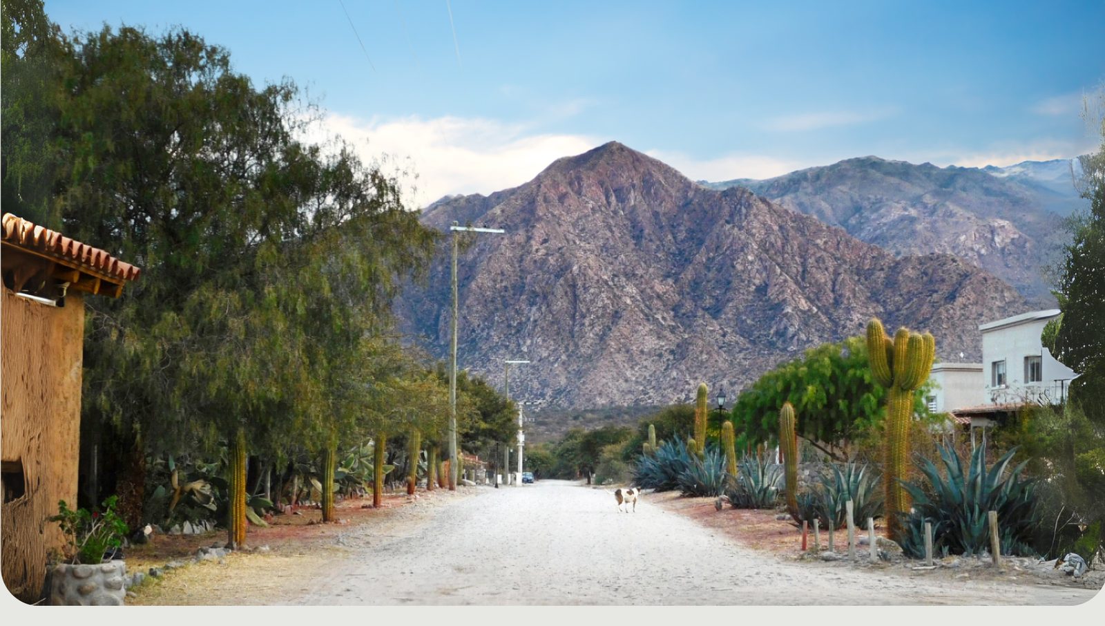 Calle principal de Vertientes EcoPueblo con cardones y el cerro de fondo